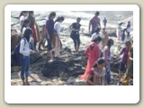 Students observing coastal landforms
